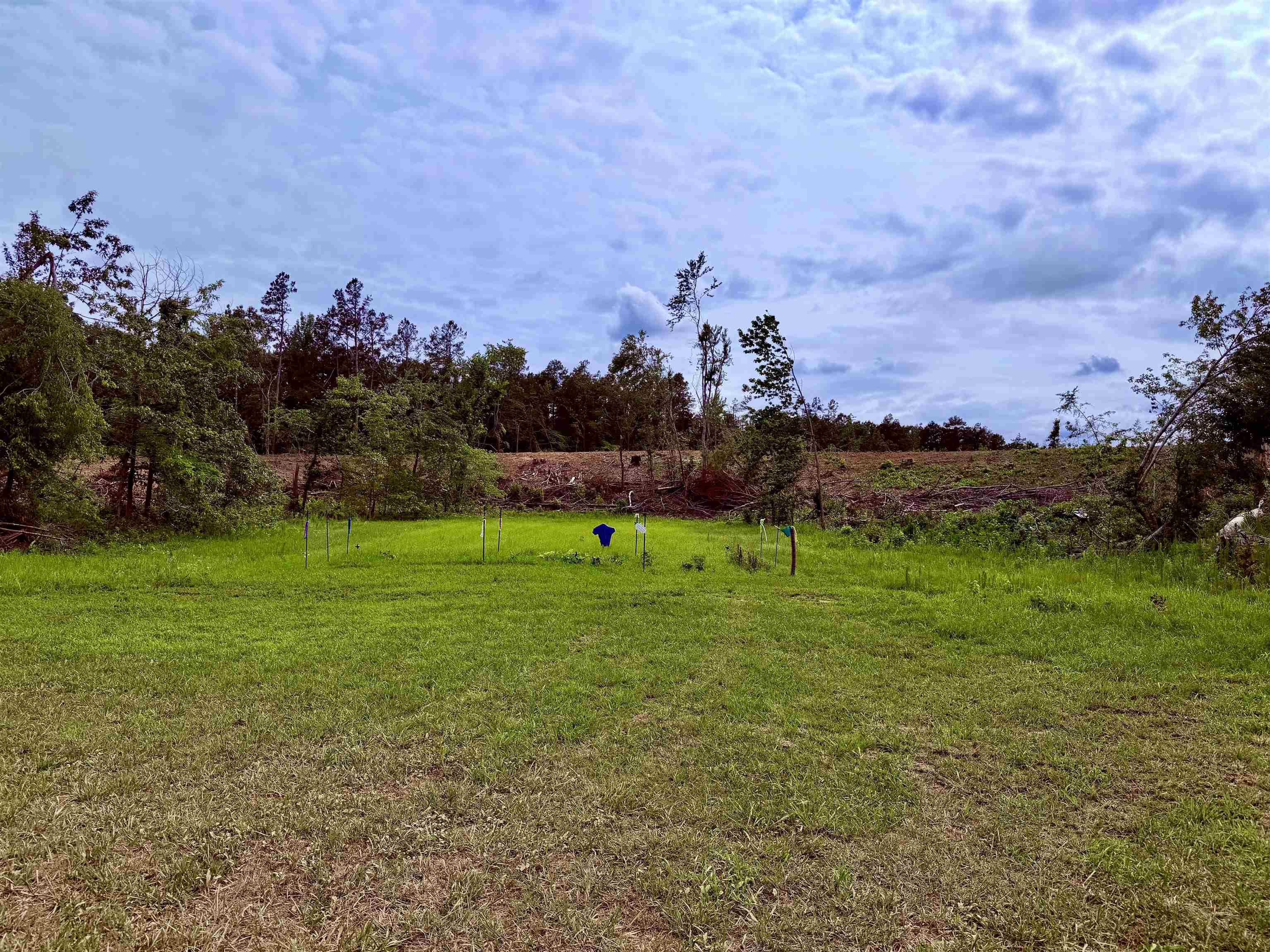 0 Dee Moore Road Selmer, TN 38375 - Photo 1 of 10 a view of a sky