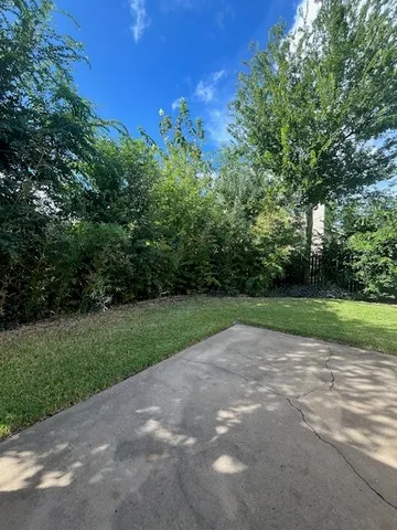 a view of a park with large trees