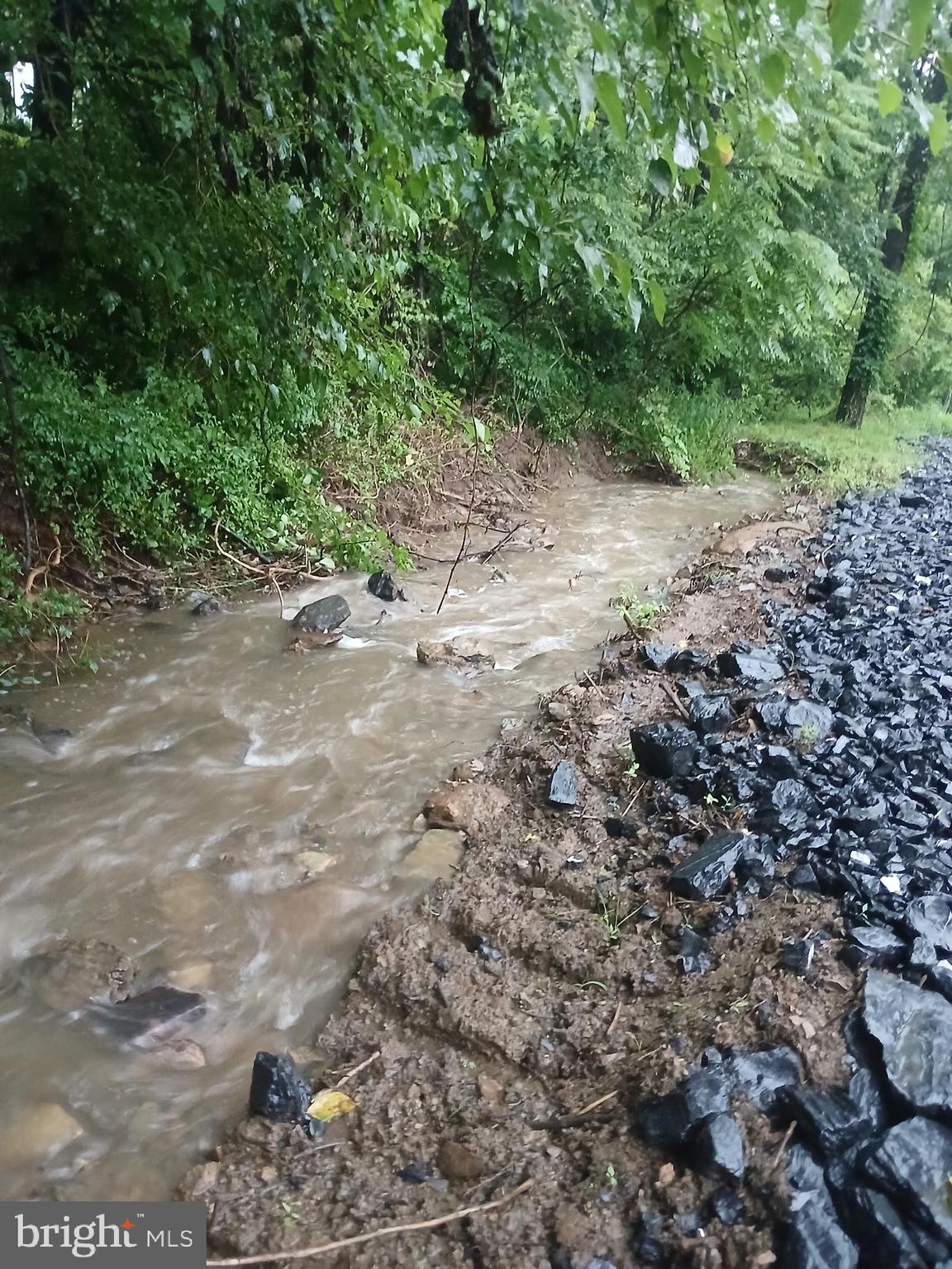 Carolyns Way Linden, VA 22642 - Photo 5 of 12 creek in back of the lot