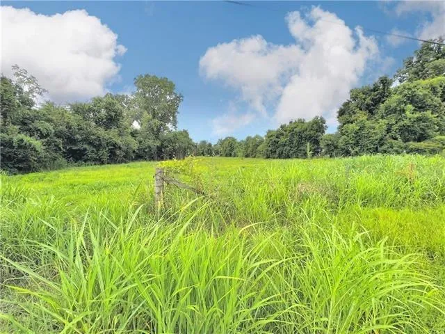 $99,500 | 0 Eddie Williams Avenue, Alexandria, LA 71302