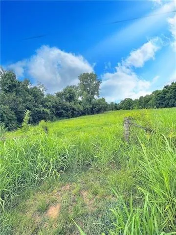 $99,500 | 0 Eddie Williams Avenue, Alexandria, LA 71302