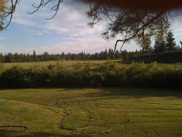28305 West Tucker Prairie Road Edwall, WA 99008 - Photo 2 of 9