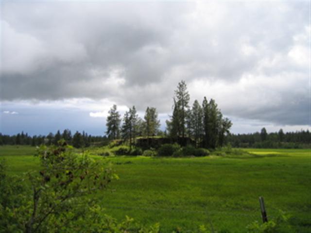 28305 West Tucker Prairie Road Edwall, WA 99008 - Photo 3 of 9