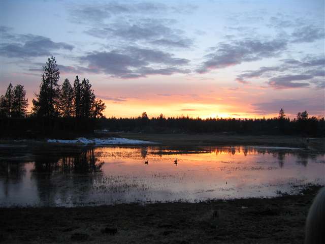 28305 West Tucker Prairie Road Edwall, WA 99008 - Photo 4 of 9