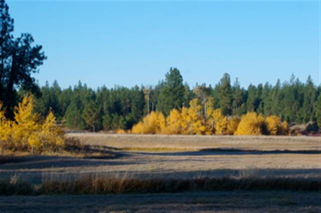 28305 West Tucker Prairie Road Edwall, WA 99008 - Photo 8 of 9