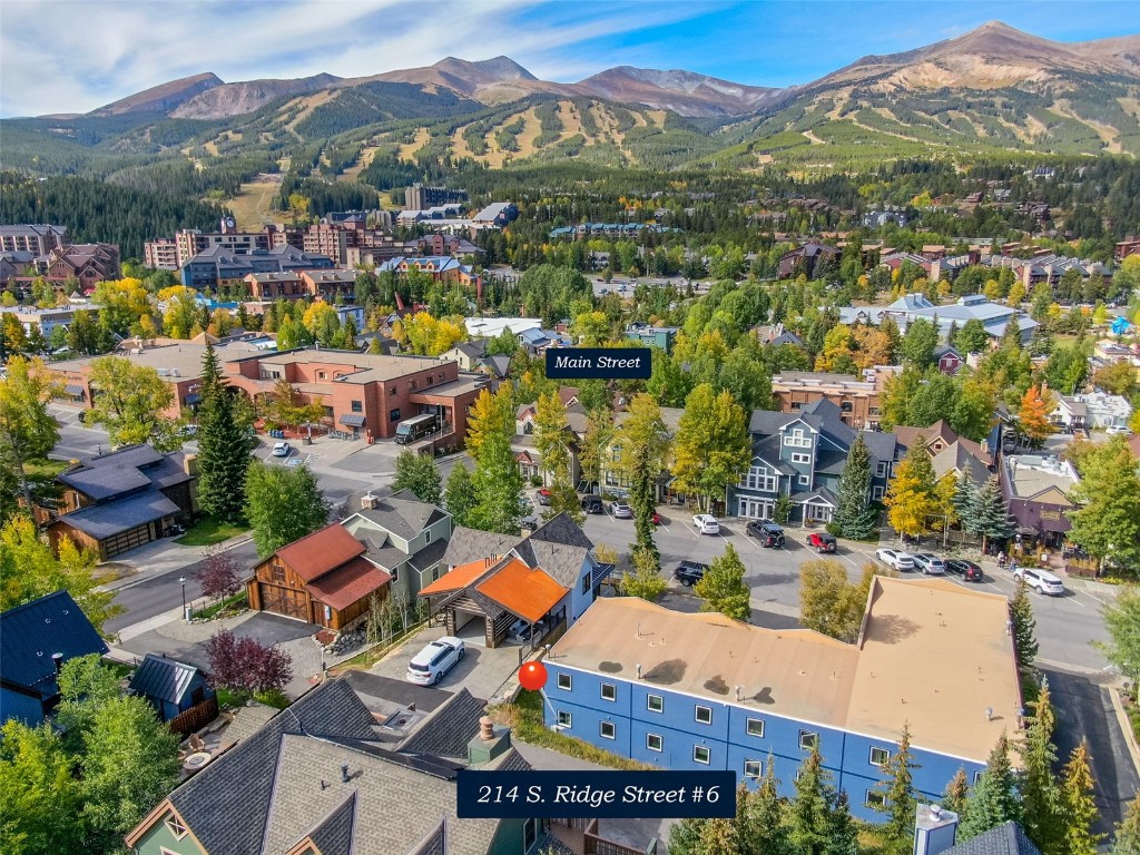 214 South Ridge Street, Unit 6 Breckenridge, CO 80424 - Photo 3 of 17 Gallery Image 3