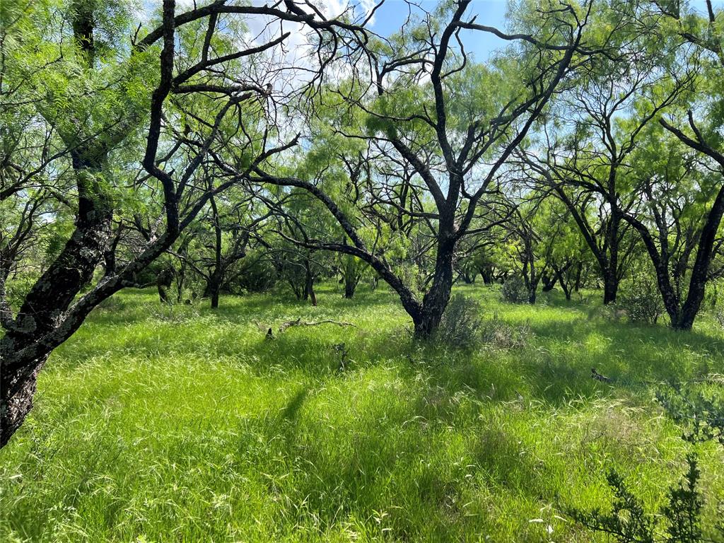 137 County Road 137 Road Cisco, TX 76437 - Photo 3 of 12