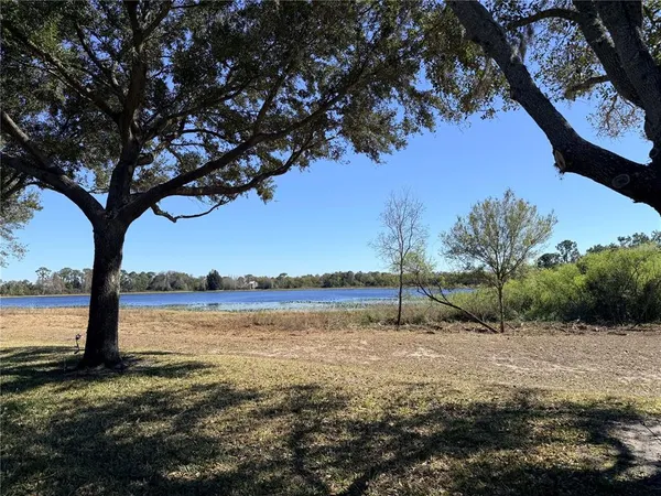 a view of an ocean with a large tree