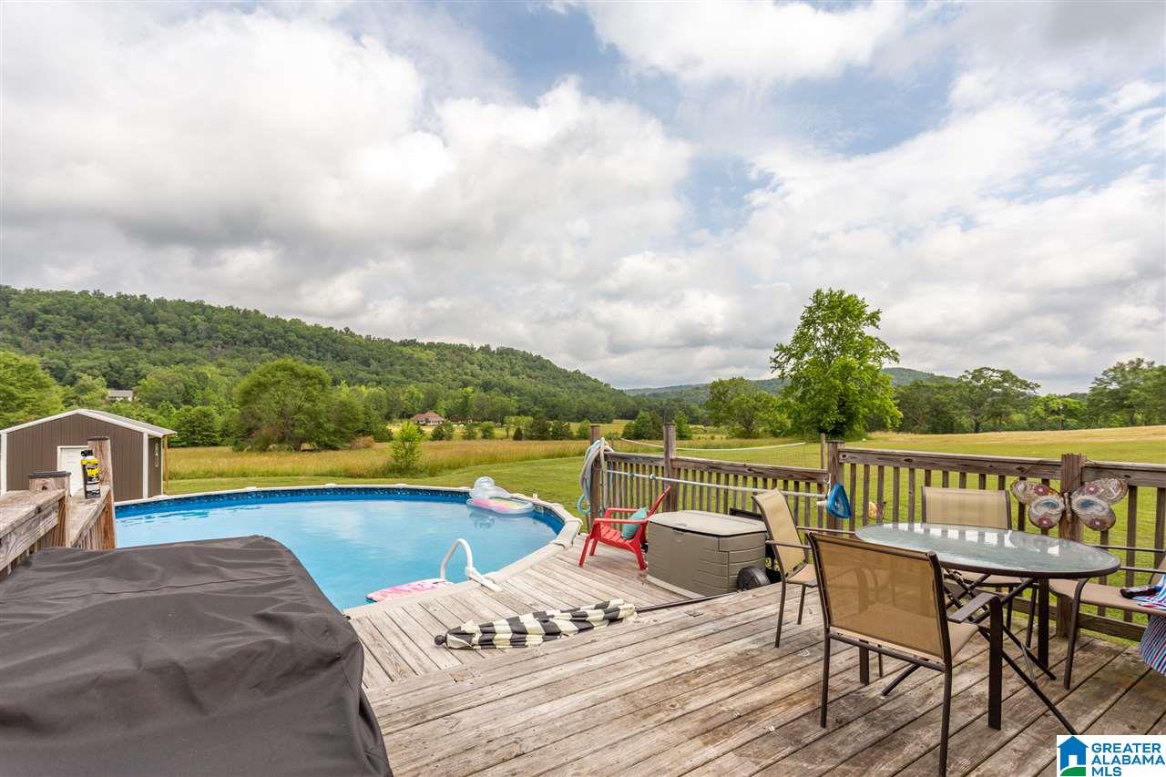 3663 Tidwell Hollow Road Oneonta, AL 35121 - Photo 38 of 41
