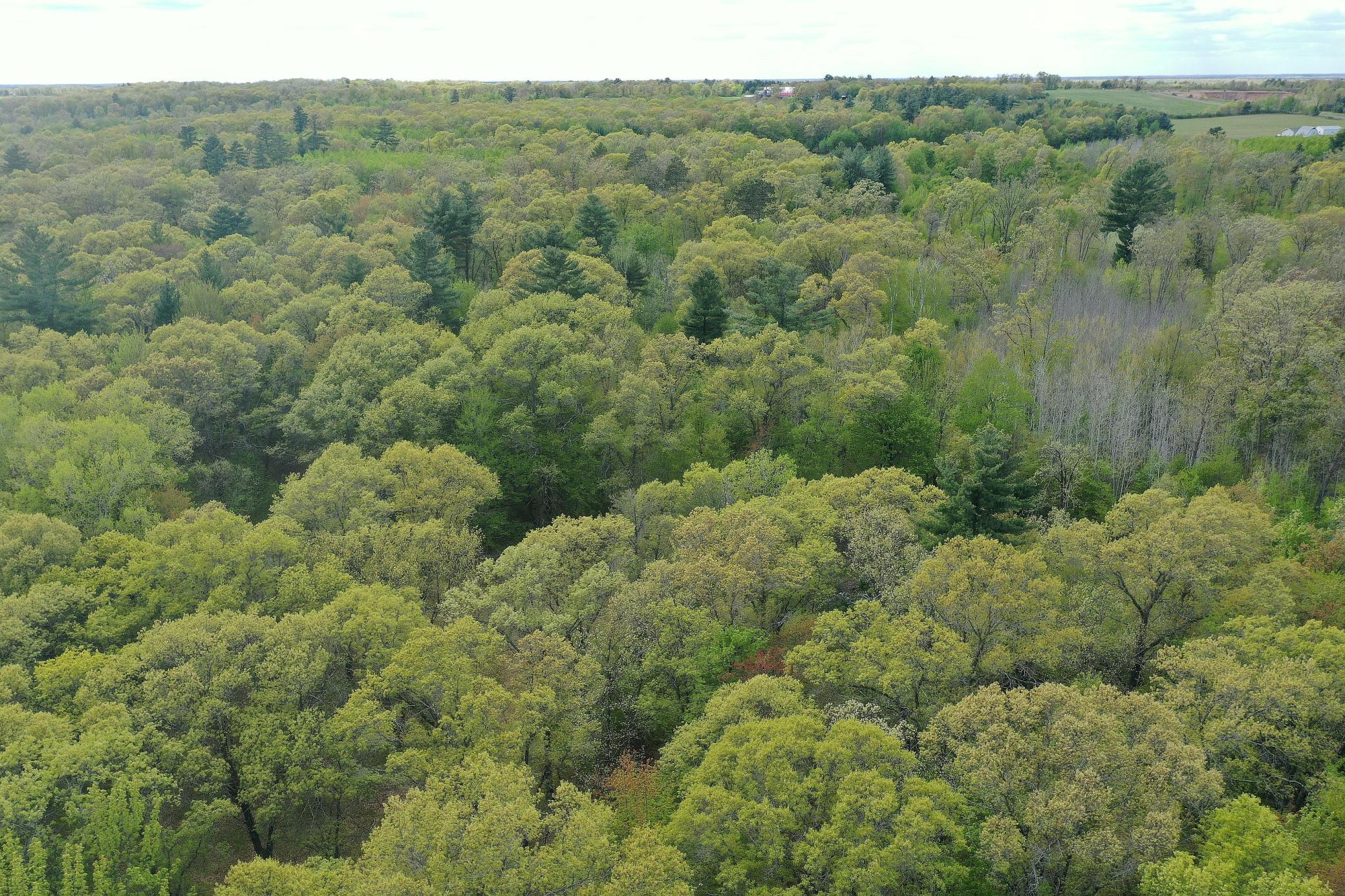 25275 Bruss Road Webster, WI 54893 - Photo 28 of 36