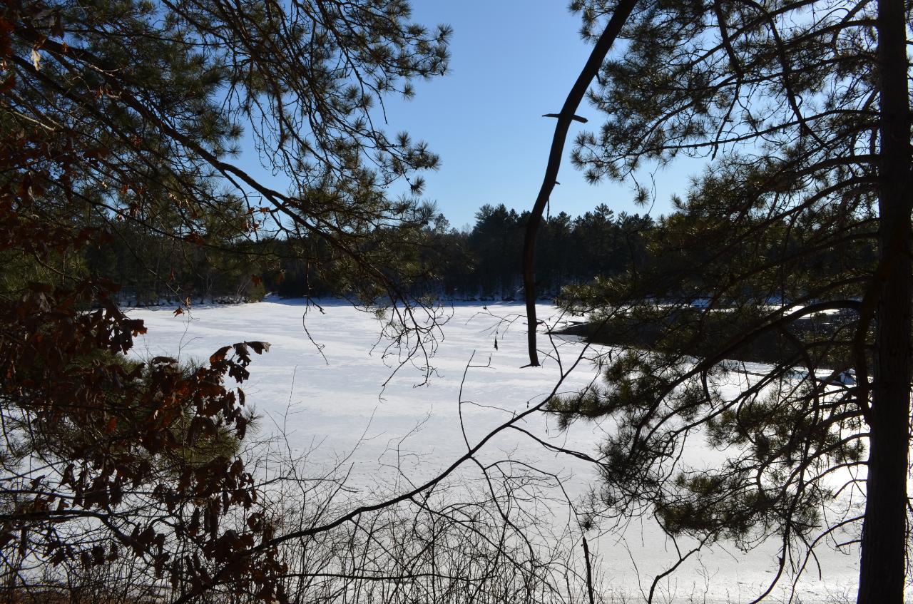 Lot 8 Point O Pines Road Tomahawk, WI 54487 - Photo 4 of 20 Gallery Image 4
