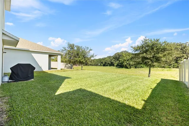 a view of back yard of the house