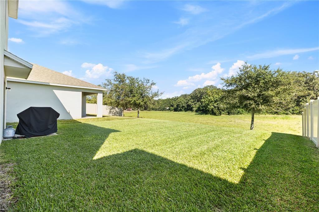 3090 Timber Hawk Circle Ocoee, FL 34761 - Photo 39 of 54 a view of a backyard with garden