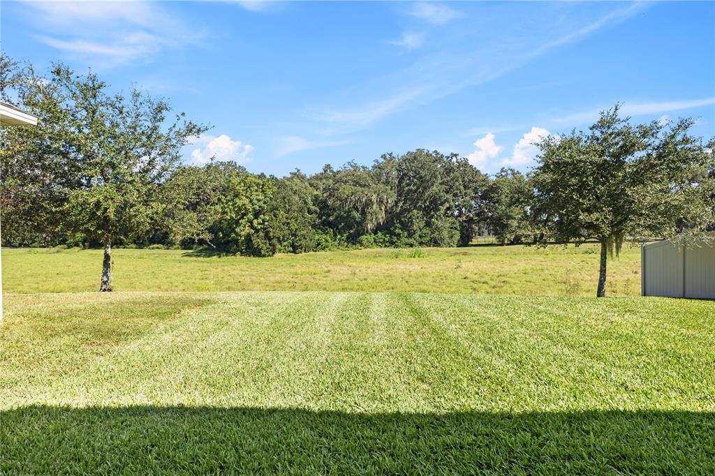 3090 Timber Hawk Circle Ocoee, FL 34761 - Photo 40 of 54 a view of a yard with an outdoor space