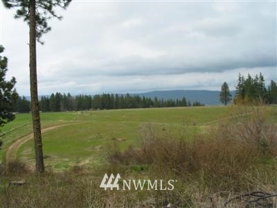 -parcel A Parcel A Road Cle Elum, WA 98922 - Photo 1 of 1 Gallery Image 1