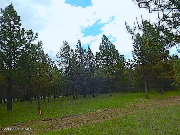 $7,000,000 | 95 Athol Id 83801, Athol, ID 83801