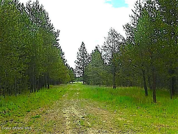 $7,000,000 | 95 Athol Id 83801, Athol, ID 83801