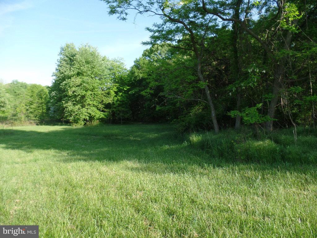 None Old Hundred Road Dickerson, MD 20842 - Photo 1 of 5
