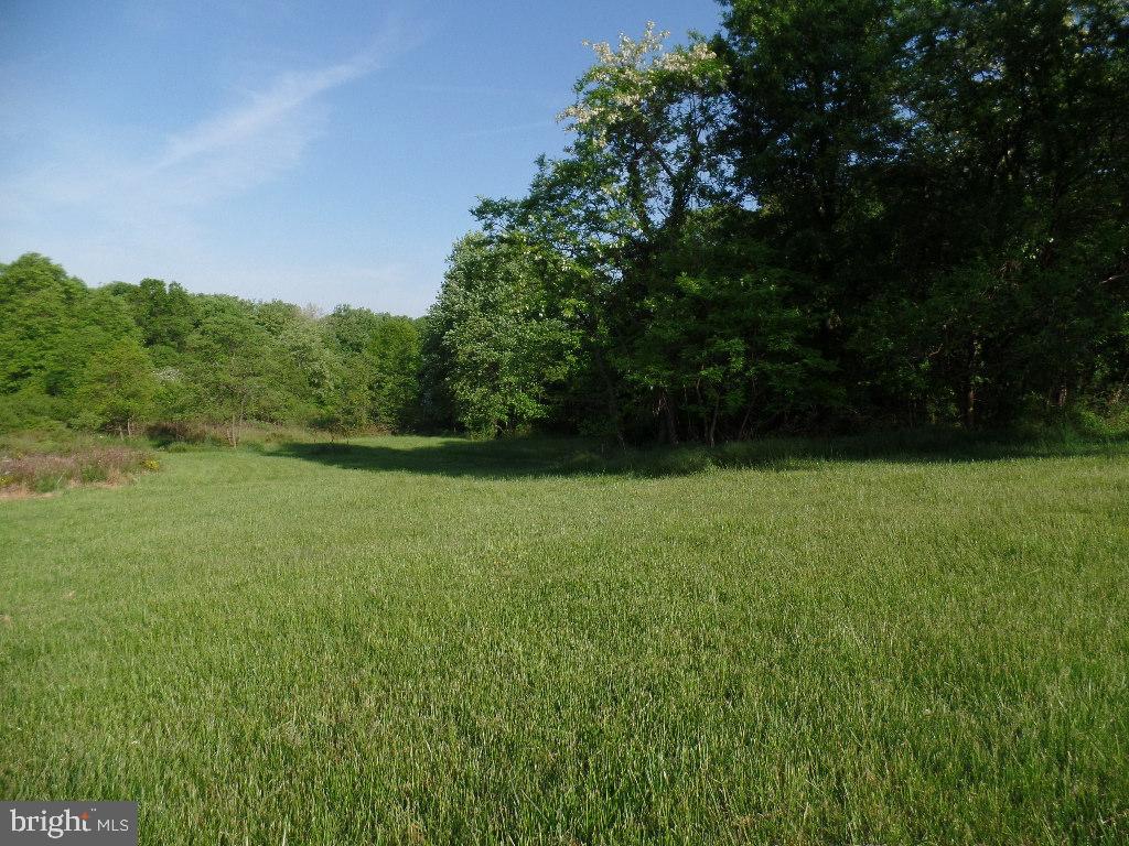 None Old Hundred Road Dickerson, MD 20842 - Photo 4 of 5