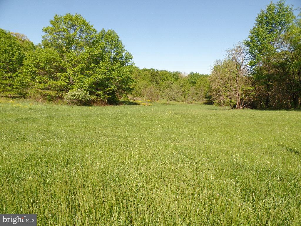 None Old Hundred Road Dickerson, MD 20842 - Photo 5 of 5