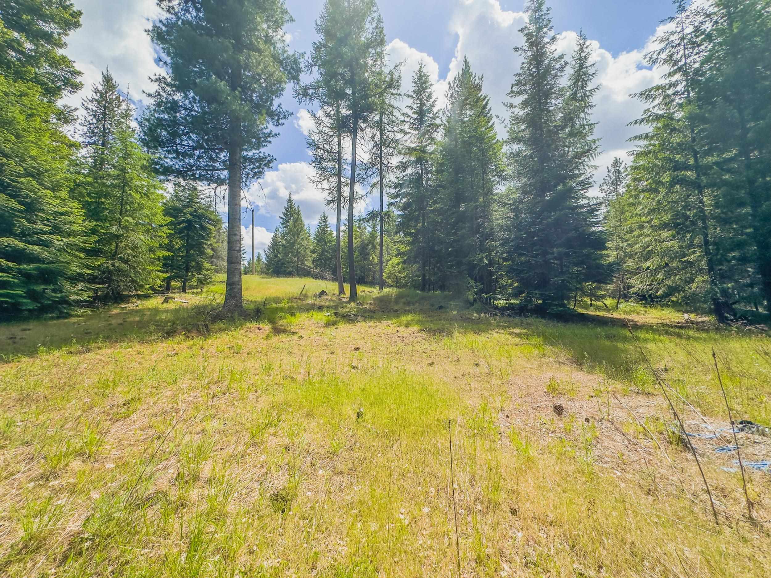 351 Stohr Road Newport, WA 99156 - Photo 11 of 20