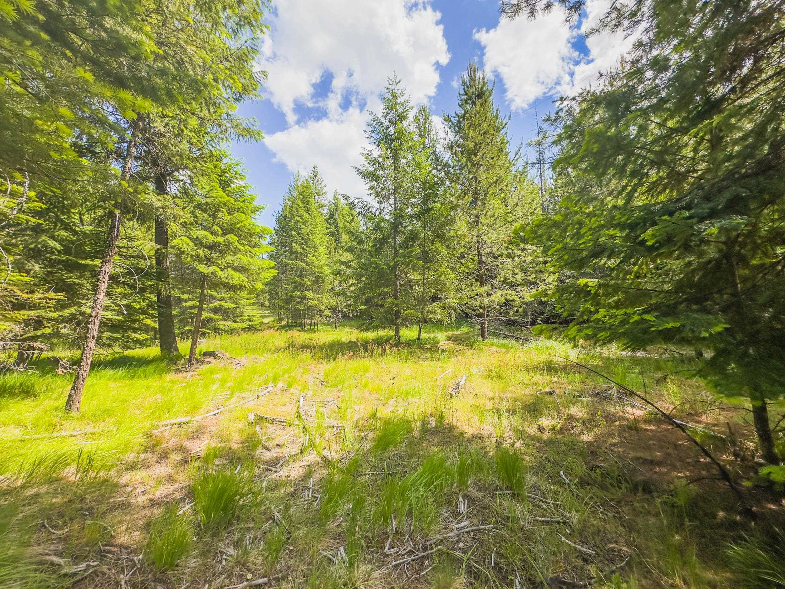 351 Stohr Road Newport, WA 99156 - Photo 12 of 20