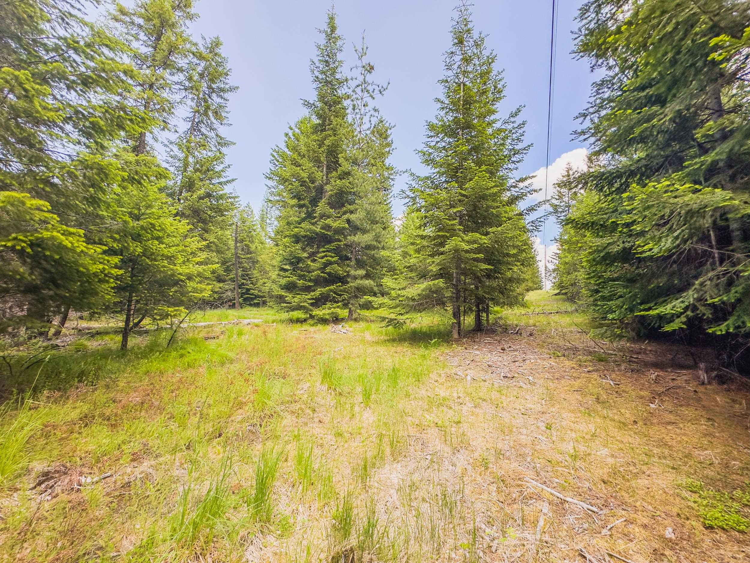 351 Stohr Road Newport, WA 99156 - Photo 13 of 20