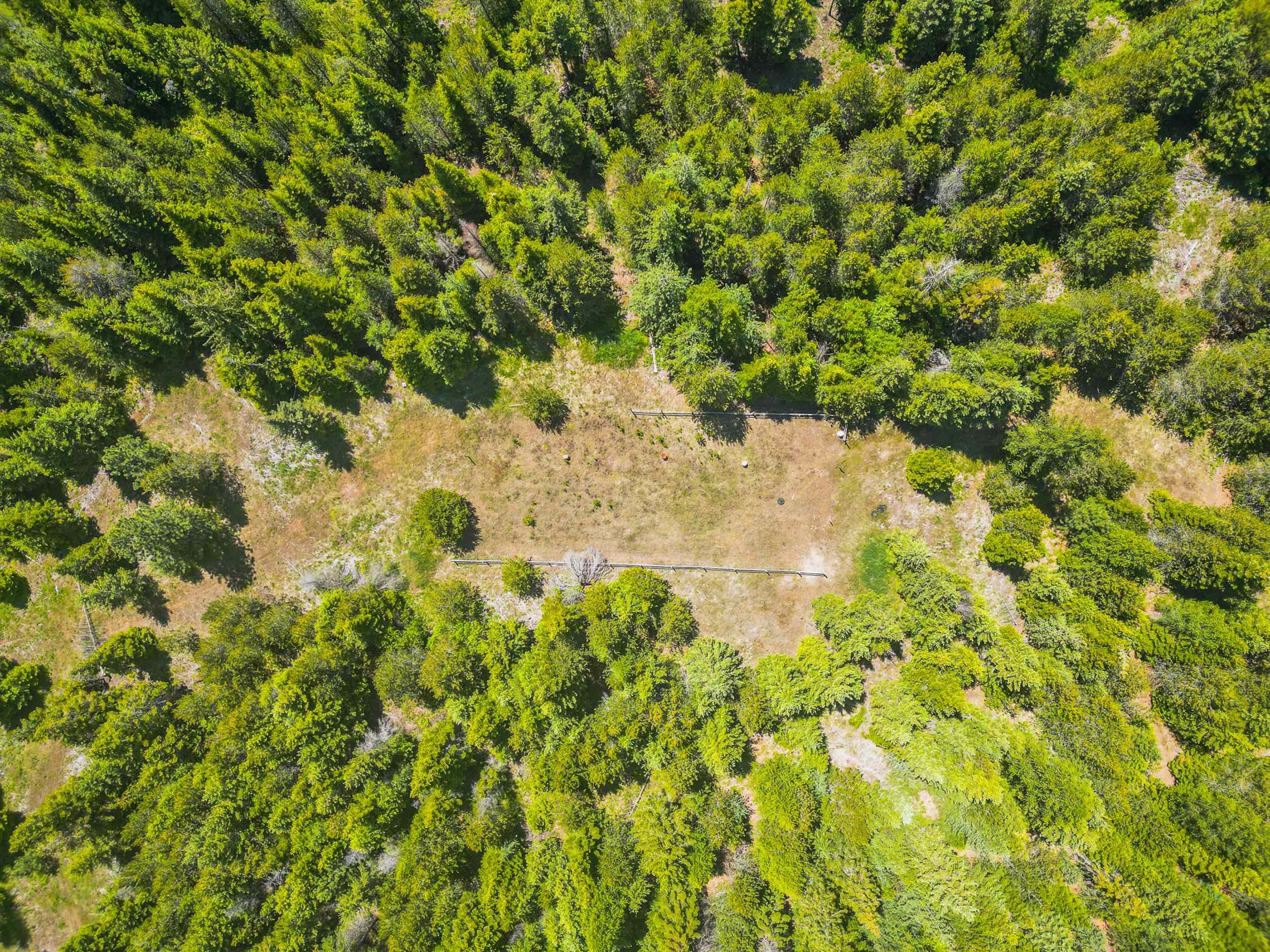 351 Stohr Road Newport, WA 99156 - Photo 15 of 20