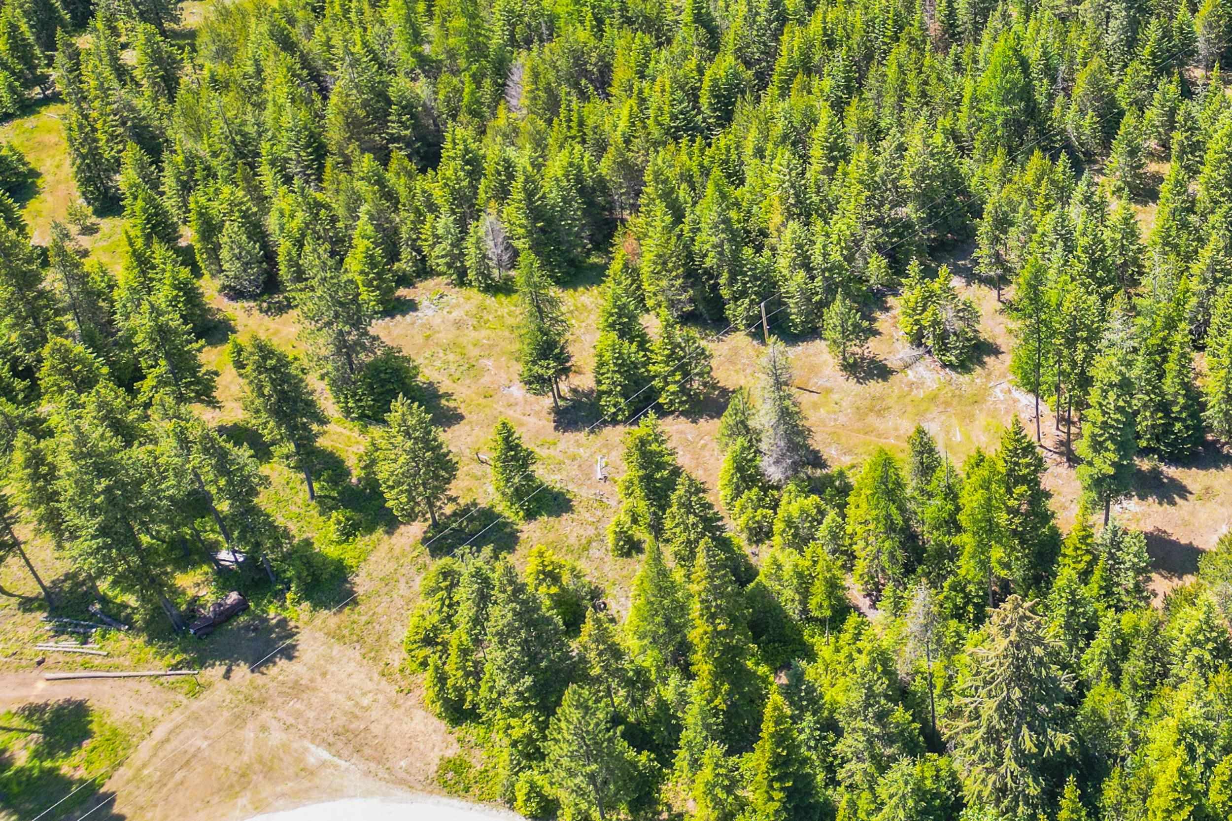 351 Stohr Road Newport, WA 99156 - Photo 17 of 20