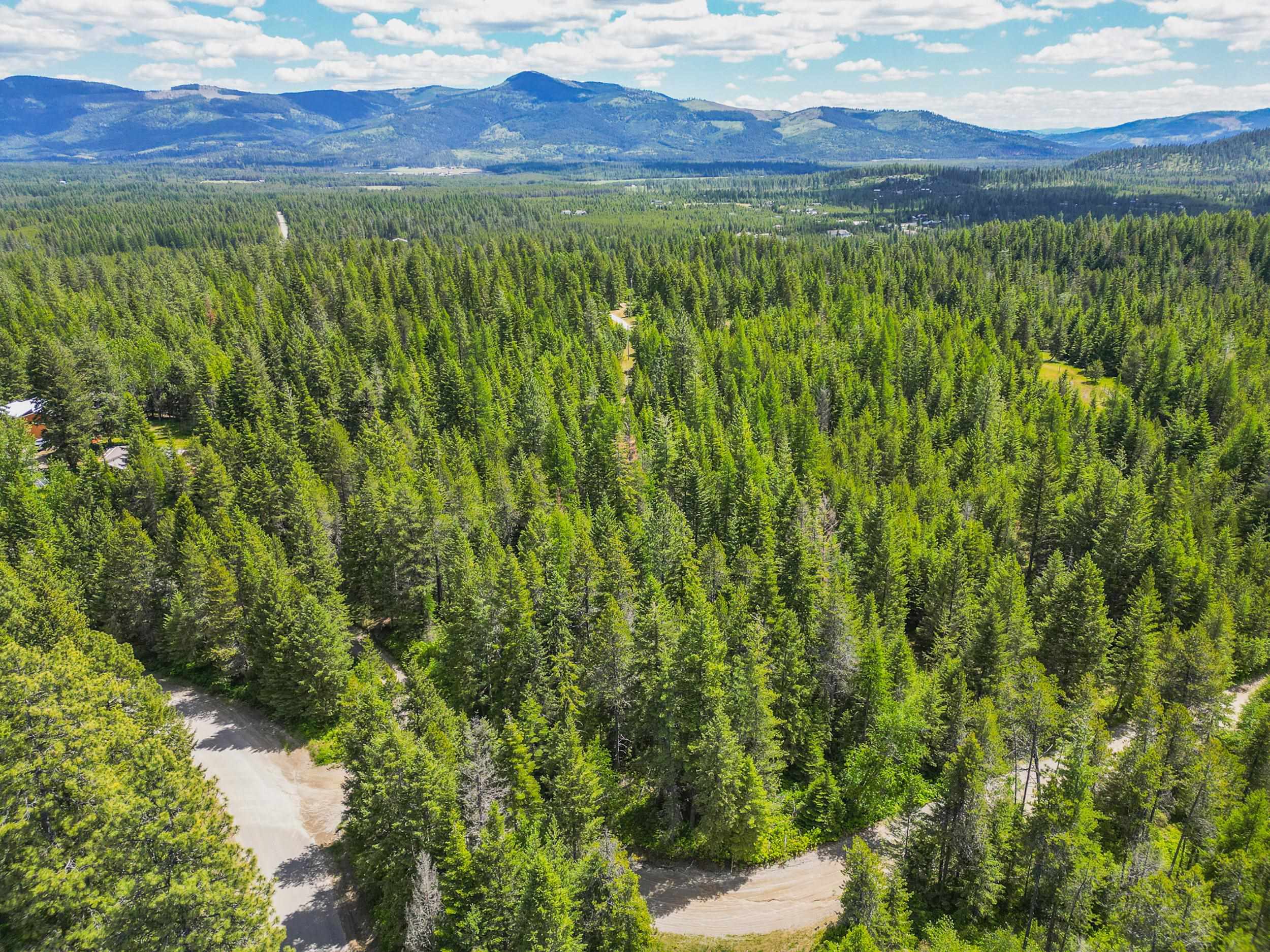 351 Stohr Road Newport, WA 99156 - Photo 20 of 20