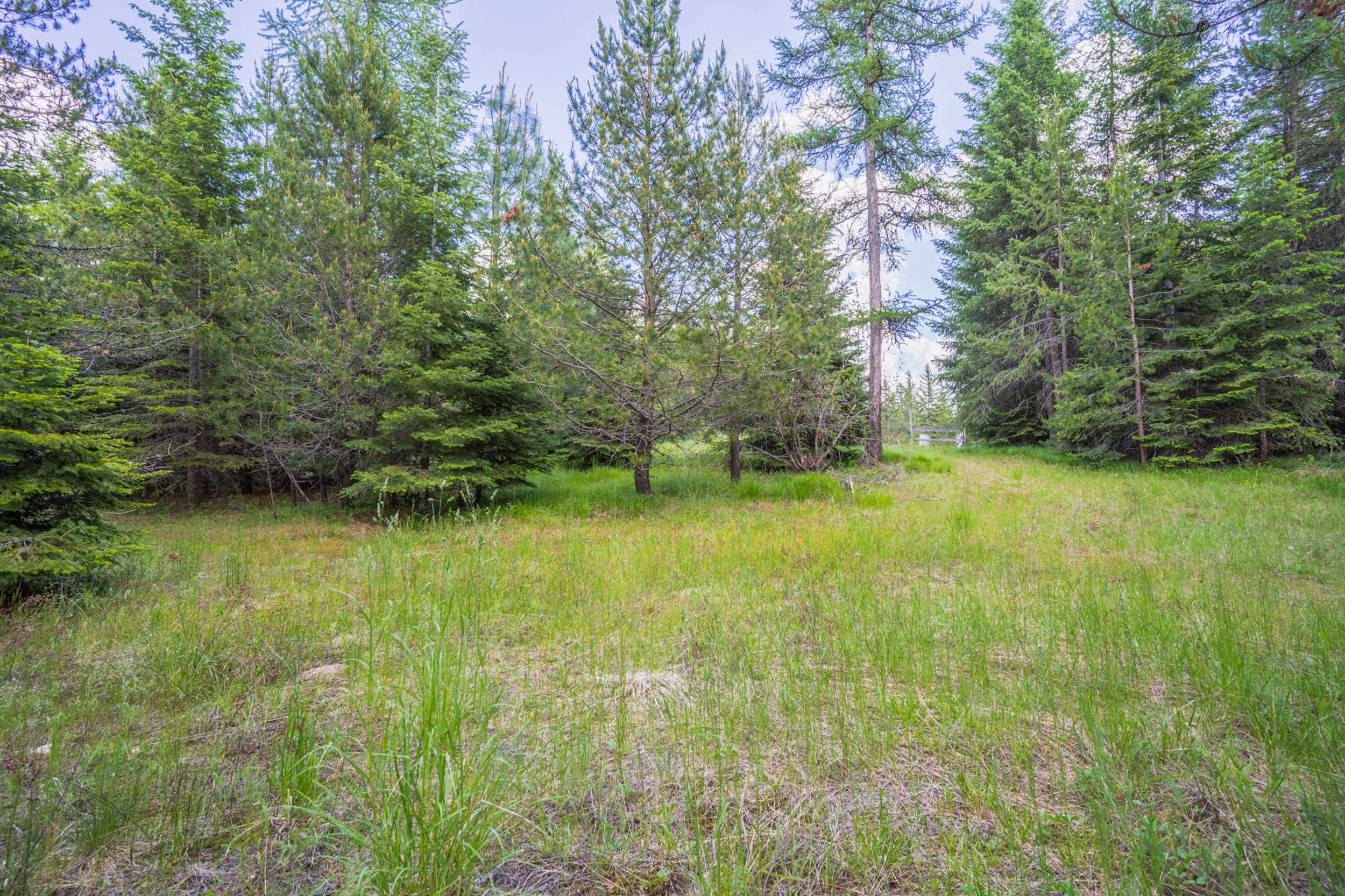 351 Stohr Road Newport, WA 99156 - Photo 5 of 20