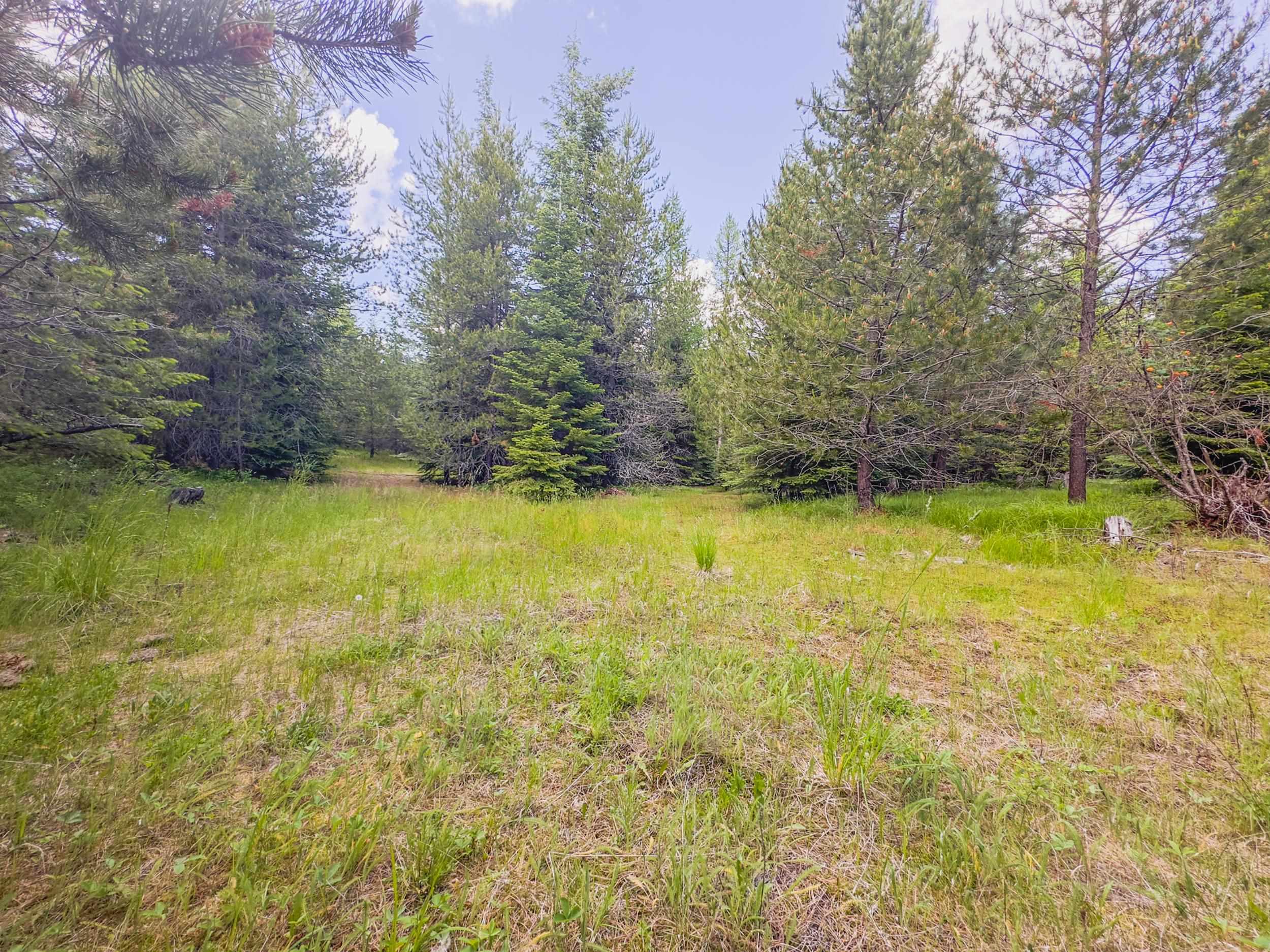 351 Stohr Road Newport, WA 99156 - Photo 9 of 20