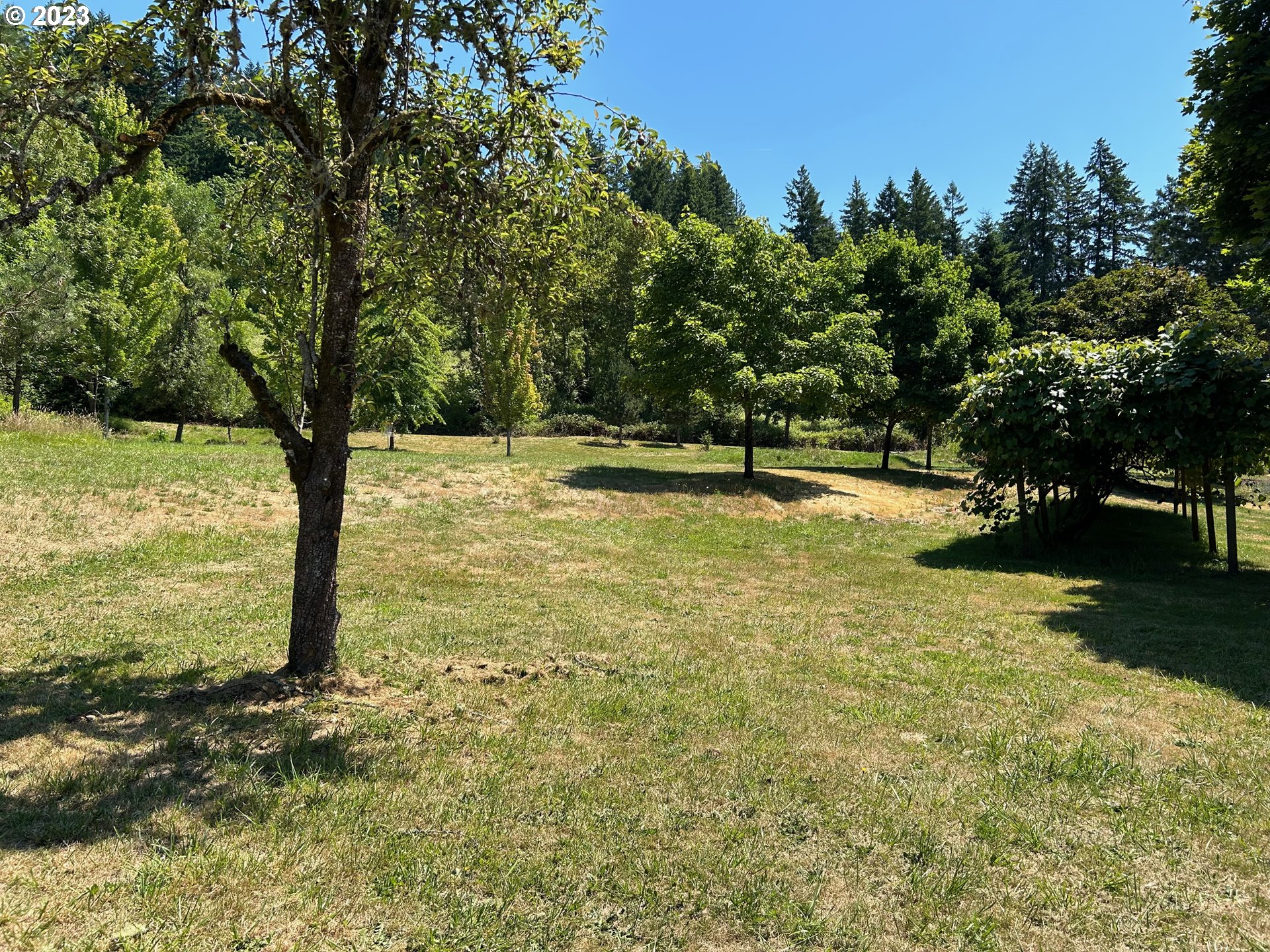 16400 Highway 224 Damascus, OR 97089 - Photo 5 of 16 a view of a swimming pool with a yard