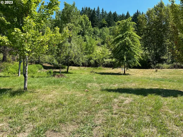 a view of a park with large trees