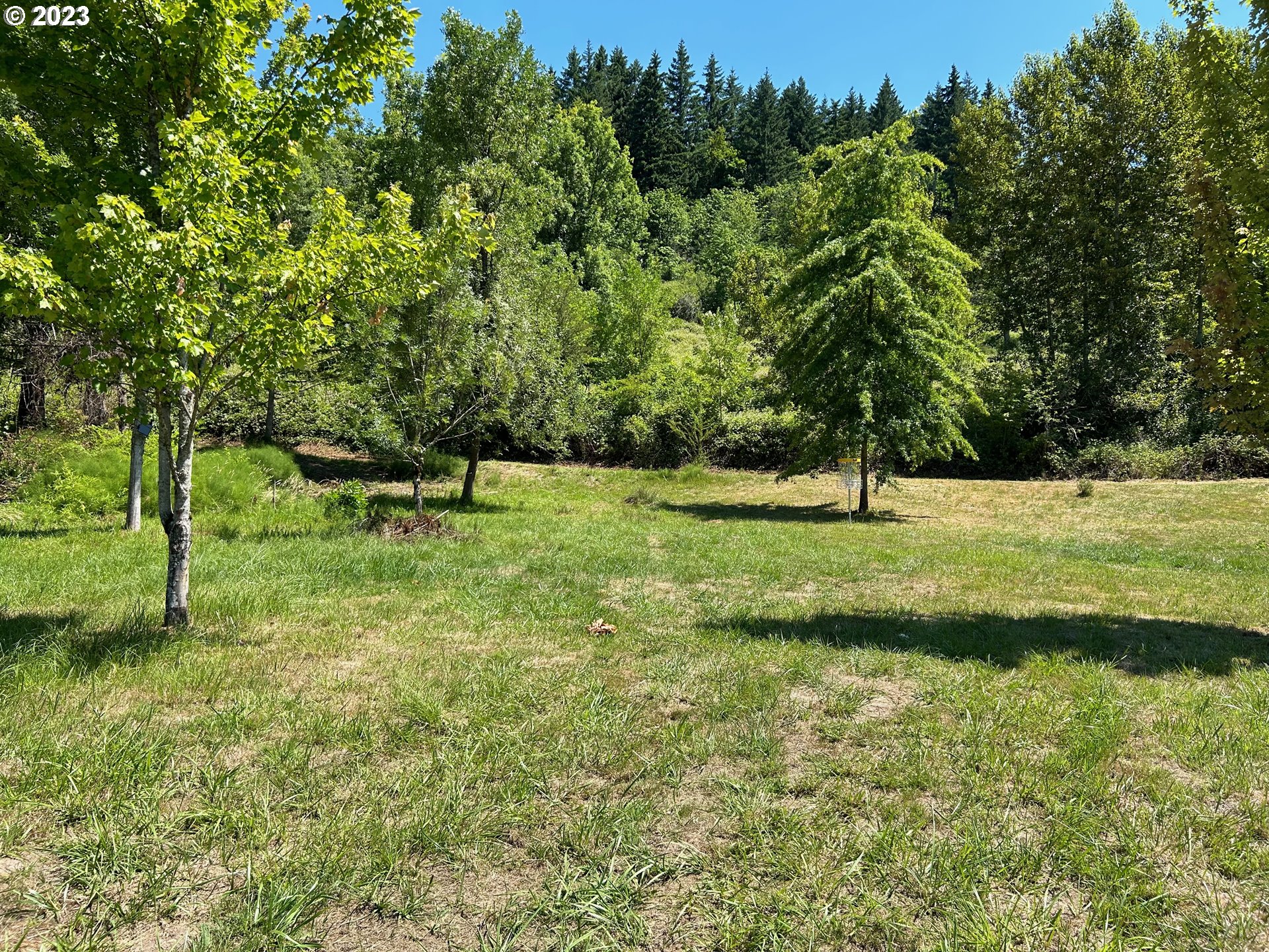 16400 Highway 224 Damascus, OR 97089 - Photo 6 of 16 a view of a park with large trees