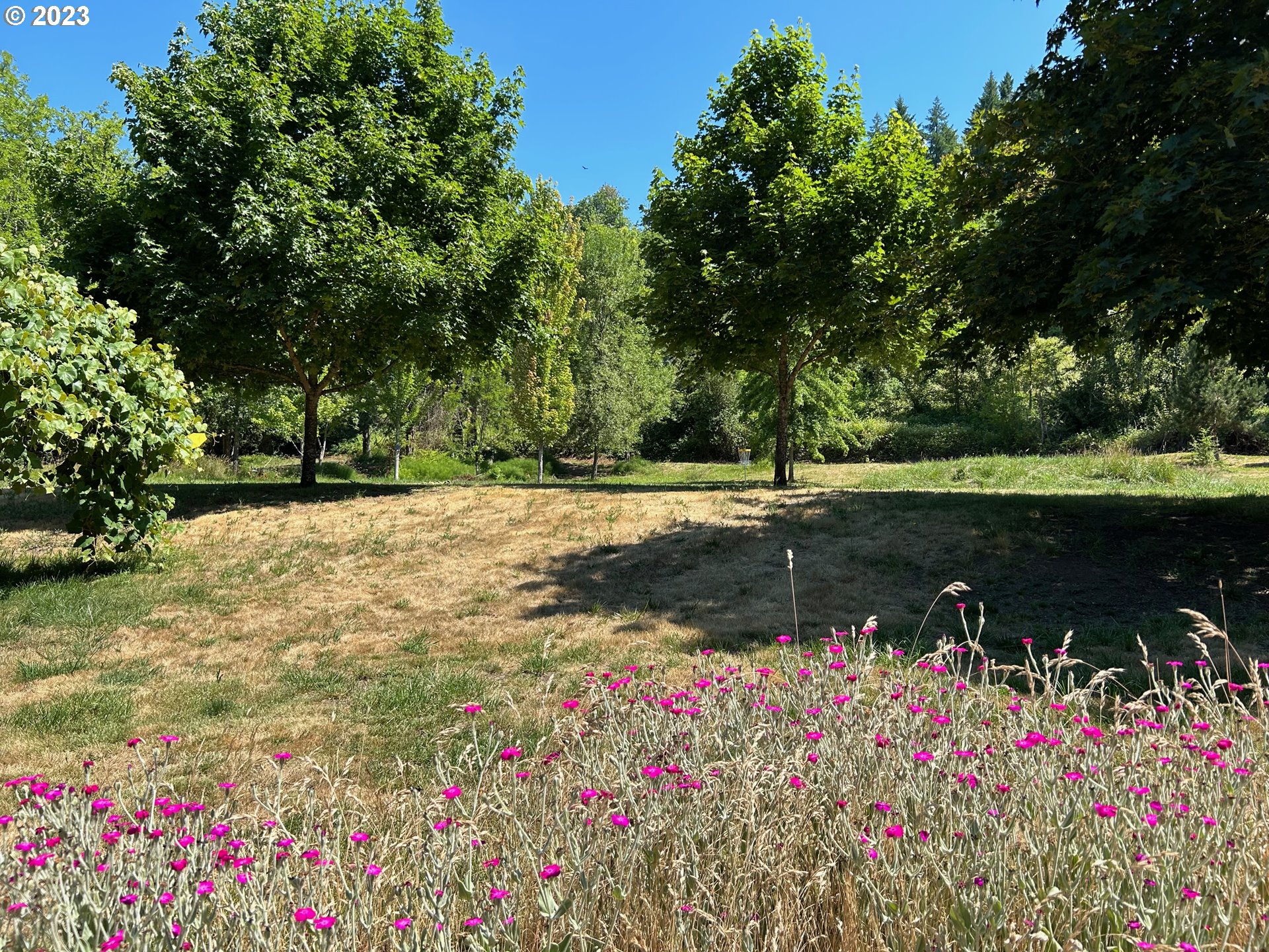 16400 Highway 224 Damascus, OR 97089 - Photo 7 of 16 a view of a lake with a bench and trees