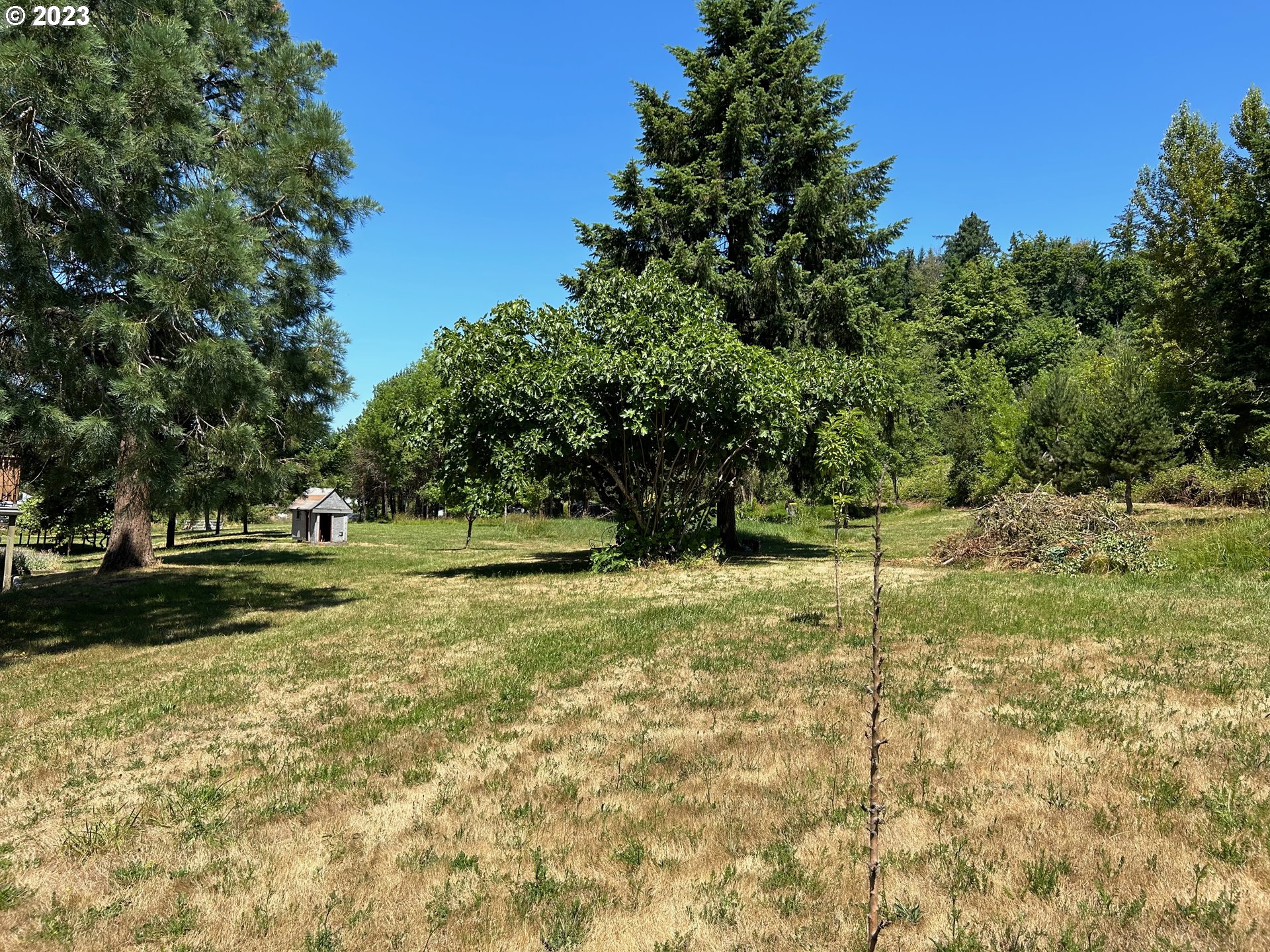 16400 Highway 224 Damascus, OR 97089 - Photo 8 of 16 a view of a yard with a tree