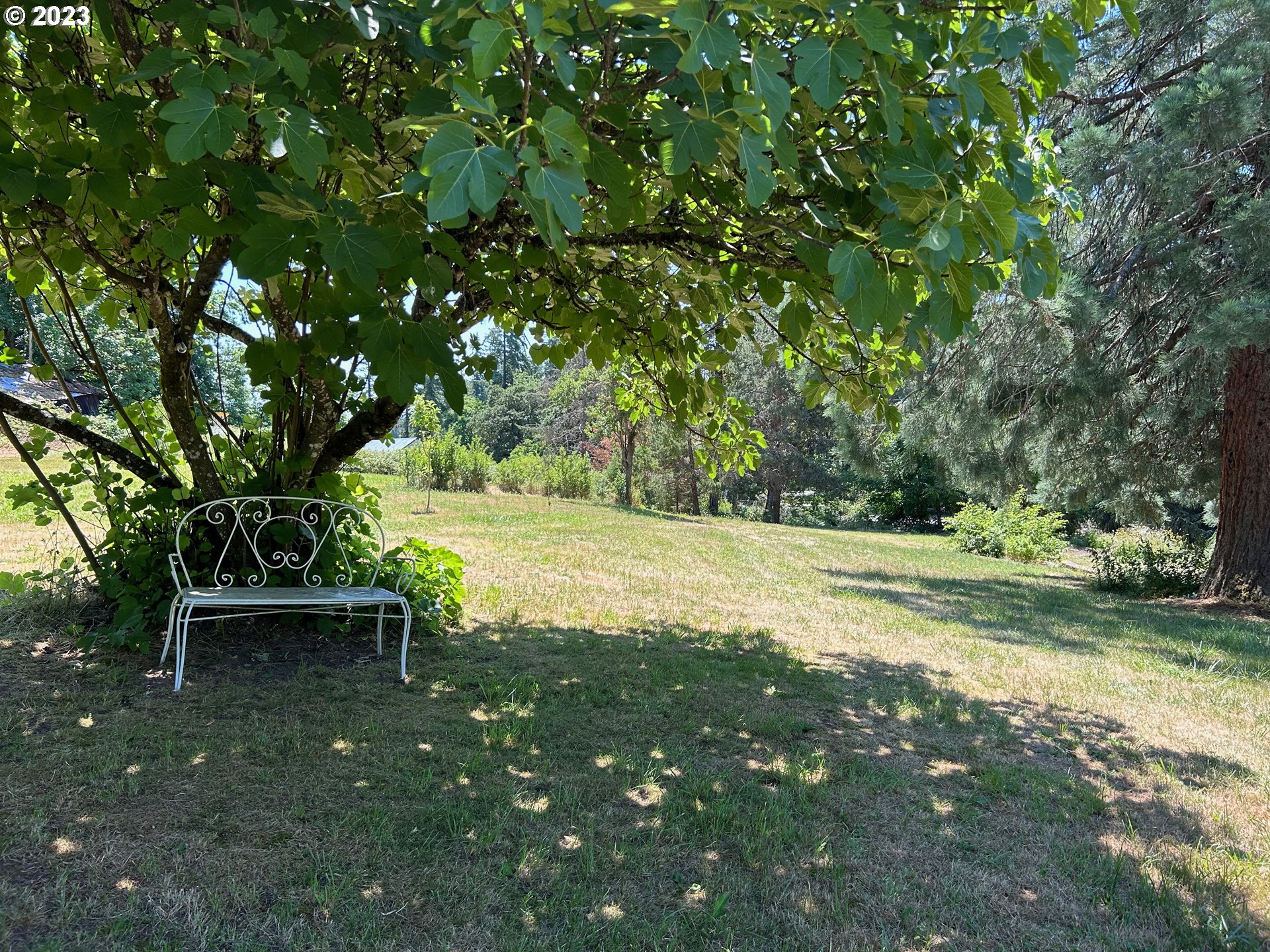 16400 Highway 224 Damascus, OR 97089 - Photo 9 of 16 a view of backyard with outdoor space