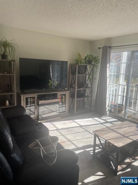 181 Linden Street, Unit 181 Mahwah, NJ 07430 - Photo 2 of 12