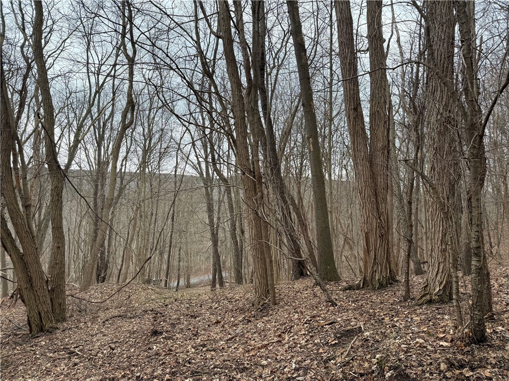 1592 Emerson Road Potter, NY 14507 - Photo 15 of 25