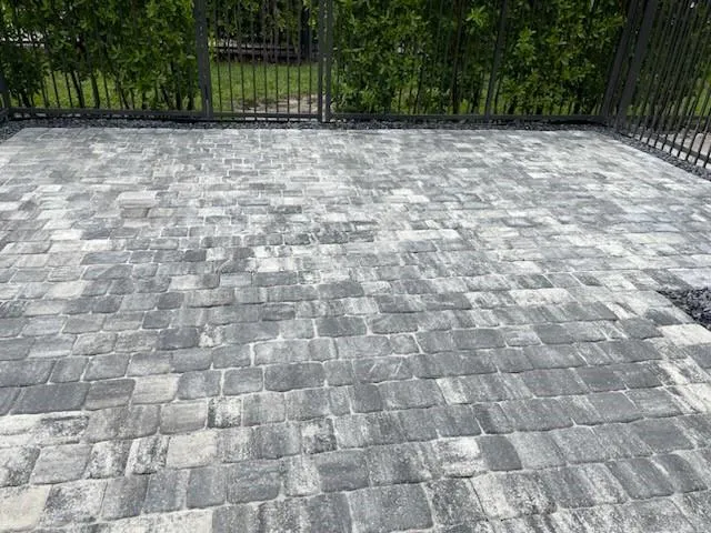 a view of a garden with a tree