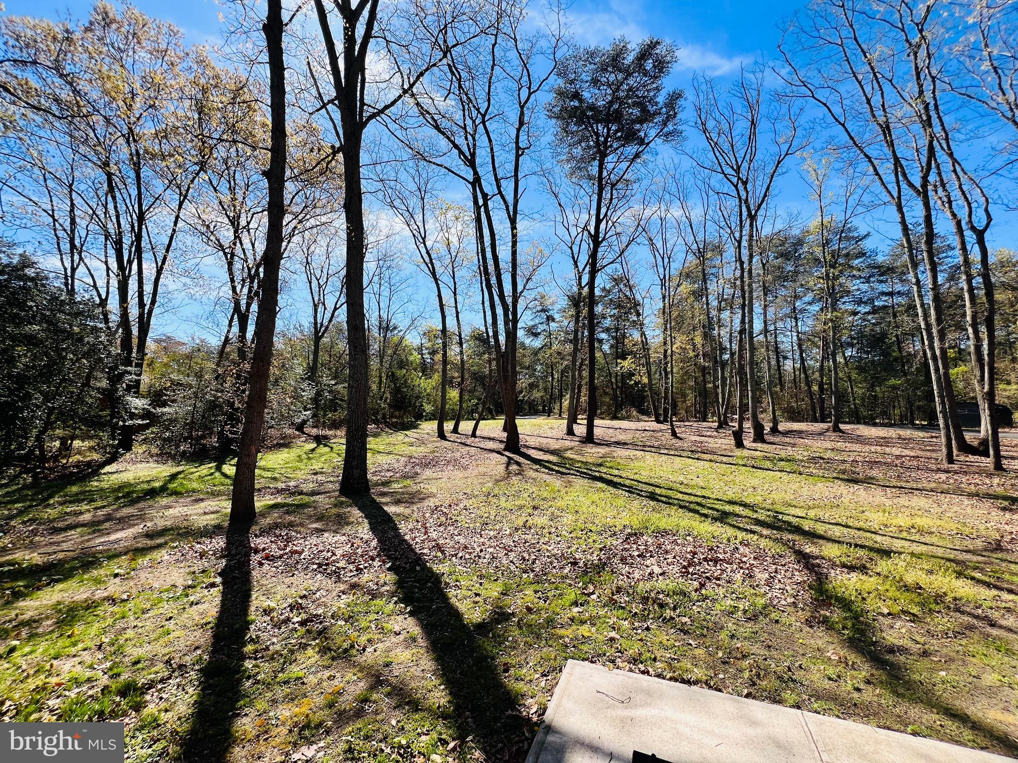 436 Thompson Circle Colonial Beach, VA 22443 - Photo 48 of 49