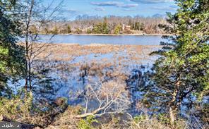 436 Thompson Circle Colonial Beach, VA 22443 - Photo 7 of 49 Waterviews of the Mattox Creek