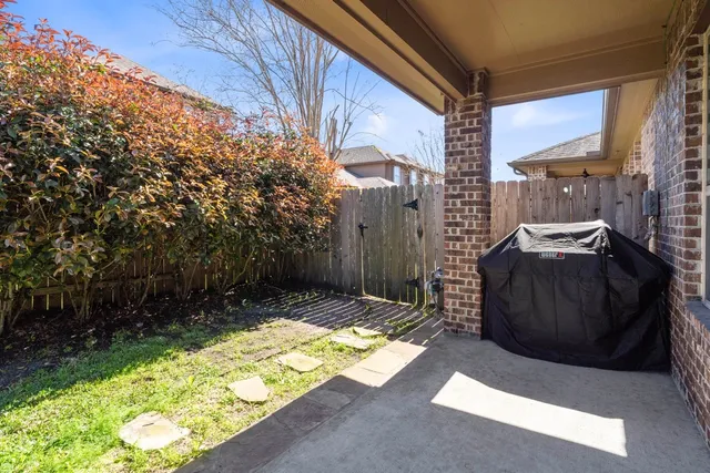 a view of a backyard with large trees and plants