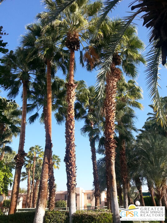 401 El Cielo Road, Unit 240 Palm Springs, CA 92262 - Photo 13 of 14