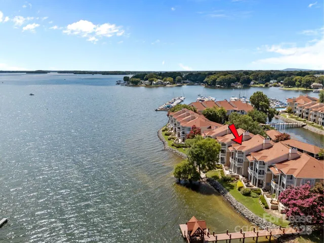 a view of a lake with plants