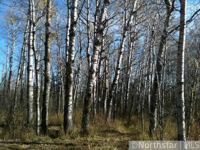 6022 Stromquist Road South Range, WI 54874 - Photo 7 of 13