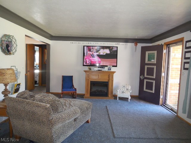 10163 Prospect Road Strongsville, OH 44149 - Photo 2 of 25 LIVING ROOM WITH NEWER CARPET THIS ROOM HAS ALL THE SPACE FOR ALL THAT OVERSIZE FURNITURE