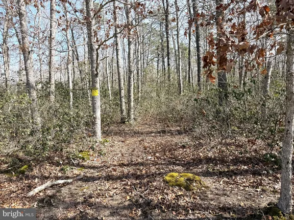 $339,000 | 0 Cedar Bridge Road, Barnegat, NJ 08005