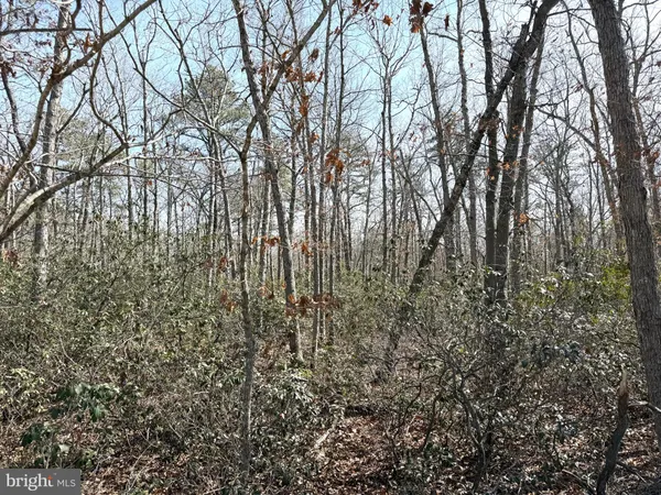 $339,000 | 0 Cedar Bridge Road, Barnegat, NJ 08005